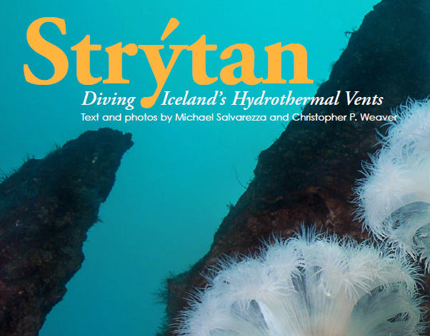 Diving Iceland’s Hydrothermal Vents