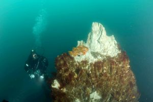 Orientation Dive tour