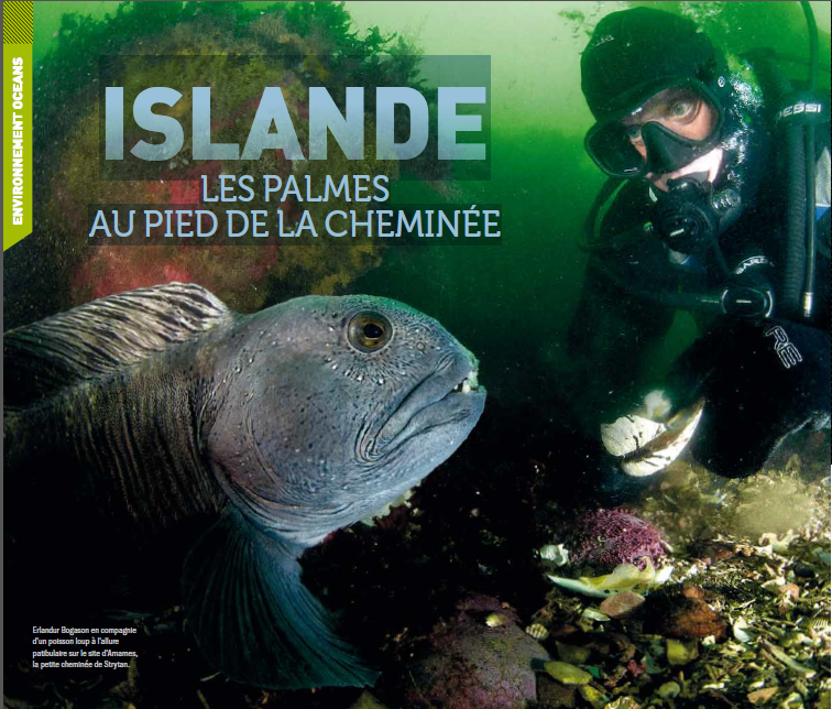 Islande les palmes au pied de la cheminée